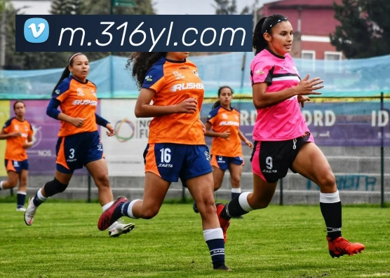 澳门永利皇宫网站APP 封面图